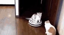 4 GIF - Cat Toy Ride Robot Mop GIFs
