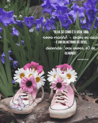 Bom Dia Good Morning GIF - Bom Dia Good Morning Shoes - Discover & Share  GIFs