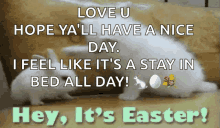 Hey Its Easter Tap Head GIF - Hey Its Easter Tap Head Cat GIFs