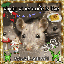 Vinny Vinesauce Is Live Vinny Rat GIF
