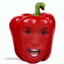 Red Pepper Bell Pepper GIF