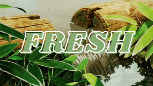 Fresh Falls Fresh Sticker - Fresh Falls Fresh Falls - Discover & Share GIFs