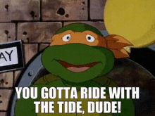 Tmnt Michelangelo GIF - Tmnt Michelangelo You Gotta Ride With The Tide Dude GIFs