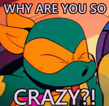 Rise Of The Tmnt Michelangelo GIF - Rise Of The Tmnt Michelangelo Why Are You So Crazy GIFs
