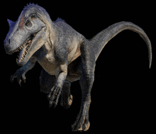 an artist 's impression of a dinosaur with its mouth open on a black background