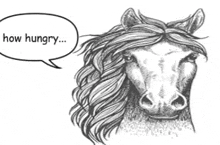 a black and white drawing of a horse with a speech bubble saying `` how hungry '' .