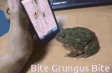 Grungus Toad GIF - Grungus Toad Bite GIFs