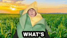marius geck marius corn corn meme