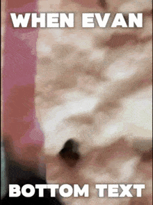 a meme that says " when evan bottom text " on it