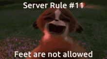server rule rule11 mort idiot server madagascar