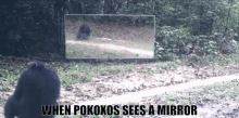 When Pokoxos Sees A Mirror Monkey GIF - When Pokoxos Sees A Mirror Monkey Playing GIFs