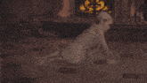 a woman is kneeling on the floor in front of a fireplace ..