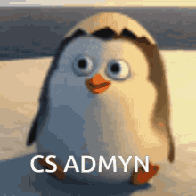 Admin Admyn GIF