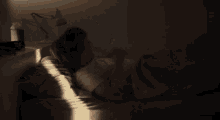 Paul Dano GIF