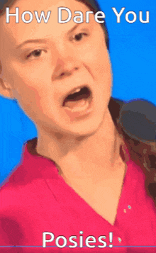 a woman in a pink shirt is talking into a microphone with the words how dare you posies !