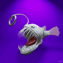 Loopfish GIF - Loopfish GIFs