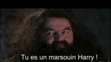 Marsouin Dauphin GIF - Marsouin Dauphin Harry Potter GIFs
