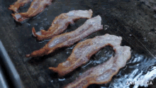 slices of bacon are being cooked on a grill with the words made in animotica visible