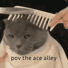 The Ace Alley Acevalr GIF - The Ace Alley Acevalr GIFs