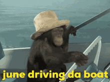 Monkey Driving GIF - Monkey Driving Drive Da Boat GIFs