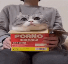a cat is sitting on top of a box that says porno