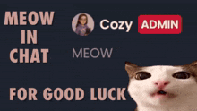 a cat with the words meow in chat and cozy admin above it
