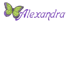 alexandra alexandra name butterfly name graphic
