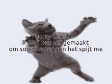 a cat with its arms outstretched says " sorry claudia "