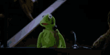 Kermit The Frog Facepalm GIF