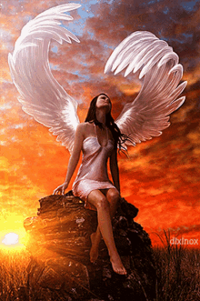 Animated Angel Wings GIFs | Tenor