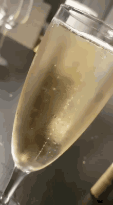 champagne wine vin mousseux
