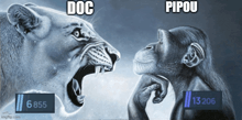 a lion and a chimpanzee are looking at each other and the lion says doc