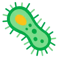 a green bacteria with a yellow center is shown in a cartoon style
