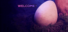 a large egg sits in a nest with the words welcome written on the bottom