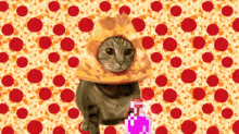 Gigante Pergunte Ao Gato Pizza GIF - Gigante Pergunte Ao Gato Pizza Kaukkakanom GIFs