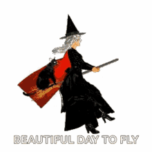 Befana Witch GIF - Befana Witch Broom GIFs