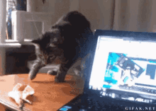 Curious GIF - Curious Scared Nervous GIFs