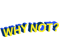 Why Not Why Sticker - Why Not Why Curious Stickers