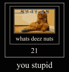 21 Deez Nuts GIF - 21 Deez Nuts Real GIFs