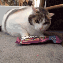 Access To The Rainbow Denied! GIF - Car Skittles Dont Touch My Food GIFs