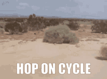 Hop On Cycle Cycle GIF - Hop On Cycle Cycle Thecycle GIFs