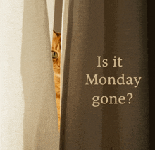 a cat peeking out from behind a curtain with the words " is it monday gone " written on it