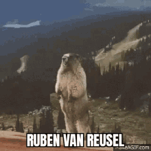 Ruben Van Reusel GIF - Ruben Van Reusel GIFs