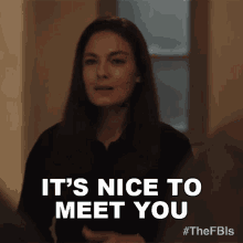 Its Nice To Meet You Kristin Gaines GIF - Its Nice To Meet You Kristin Gaines Fbi Most Wanted GIFs