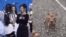 Sullyoon Deer GIF - Sullyoon Deer Falling To Knees GIFs