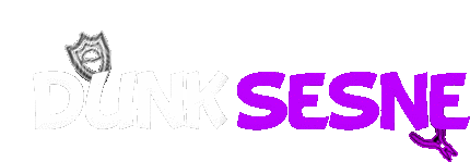 Dunk Sense Logo Sticker - Dunk Sense Logo Stickers