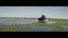 swamp boat