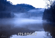 Foggy Nature GIF