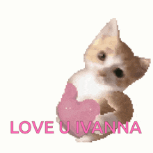 a kitten is surrounded by pink hearts with the words love u ivana written below it