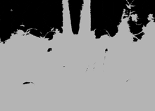 a black and white image of a silhouette of trees on a white background